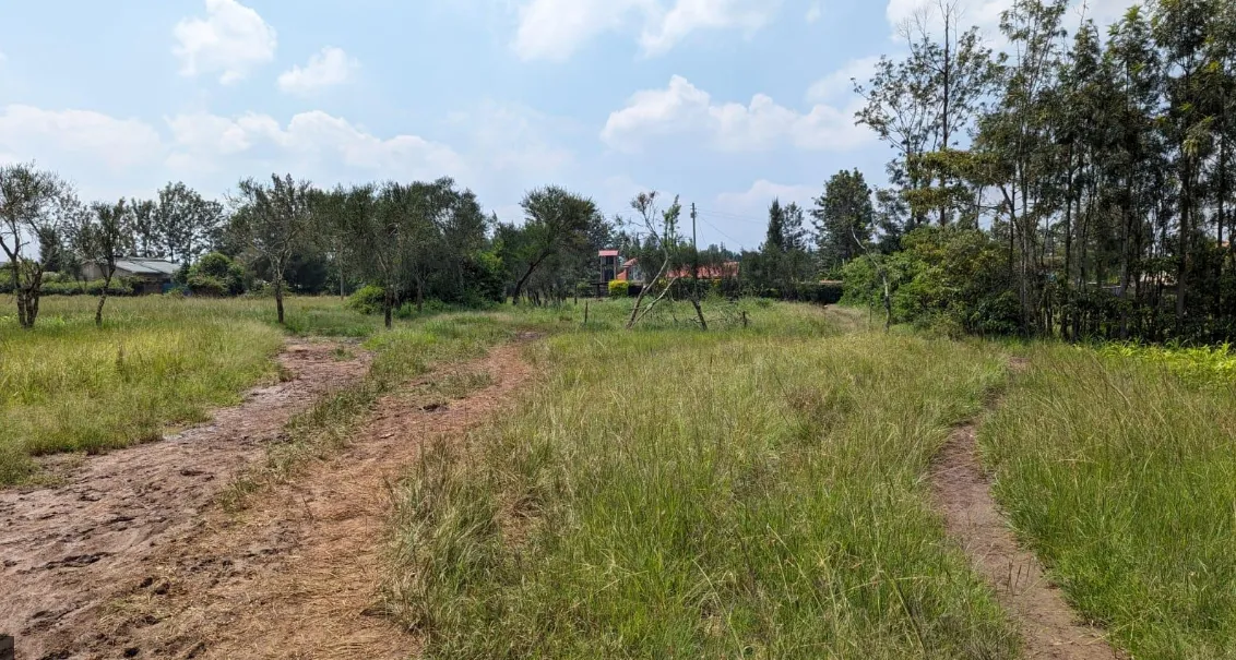 County Link Sacco Plot Loan