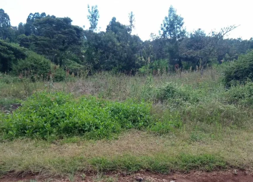 County Link Sacco Plot Loan