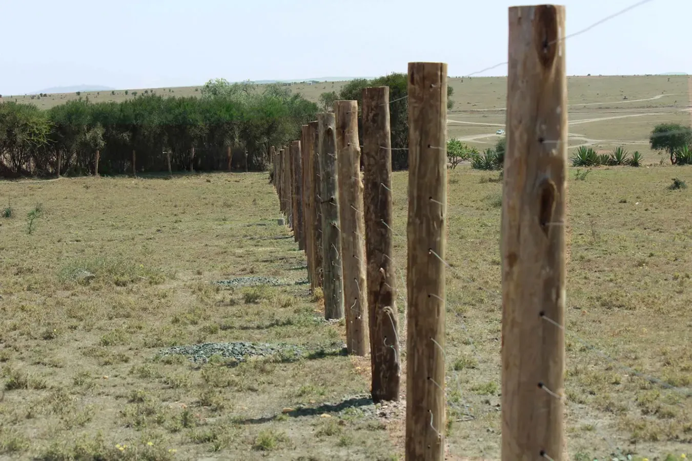 County Link Sacco Plot Loan